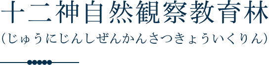 十二神自然観察教育林