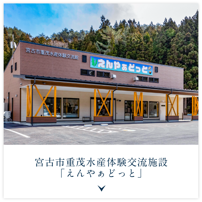 宮古市重茂水産体験交流施設「えんやぁどっと」