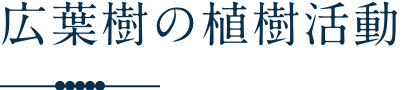 広葉樹の植樹活動