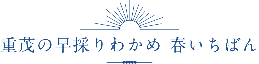 重茂の早採りわかめ 春いちばん