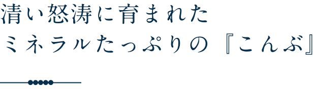 清い怒濤に洗われた、ミネラルたっぷりのこんぶ