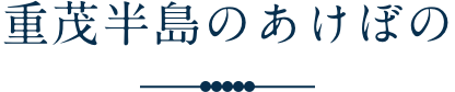 重茂漁協のあけぼの