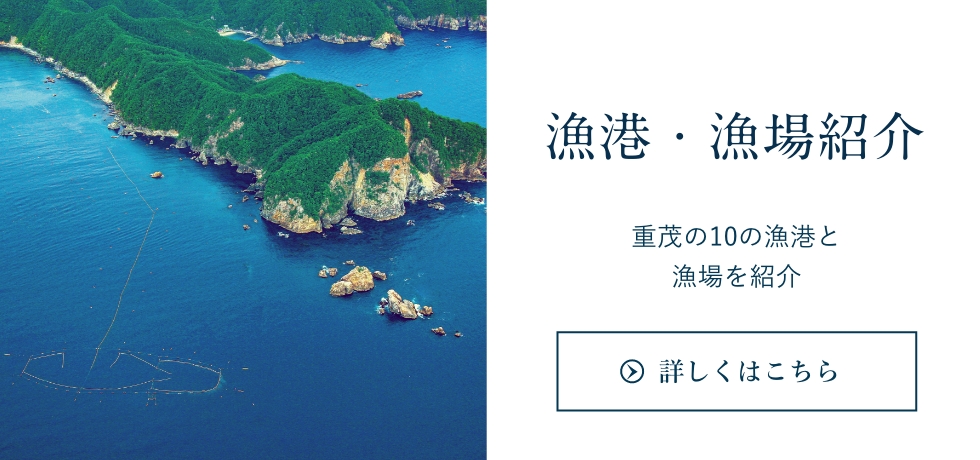 重茂の8つの漁港と組合により管理された豊かな漁場